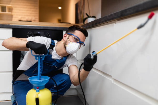 Best Pest Inspection Near Me  in California, MD