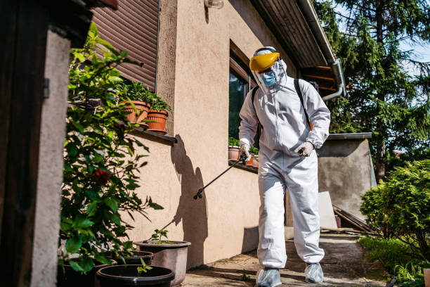 Best Residential Pest Control  in California, MD