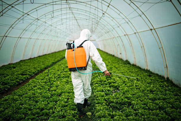 Best Pest Control Near Me in California, MD