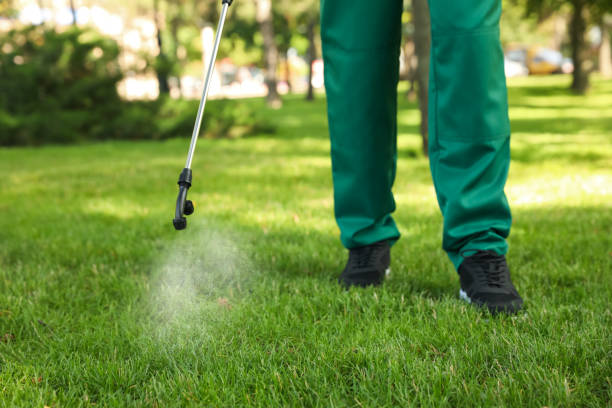 Best Best Pest Control Companies  in California, MD