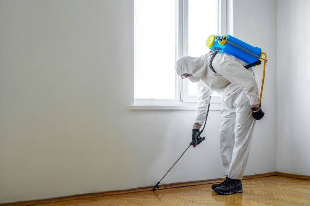 Wildlife Control Services in California, MD