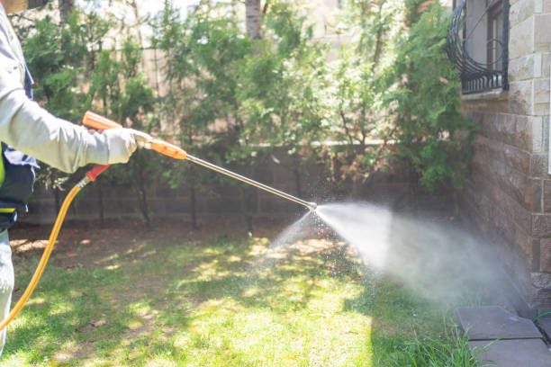 Best Flea Control Services  in California, MD