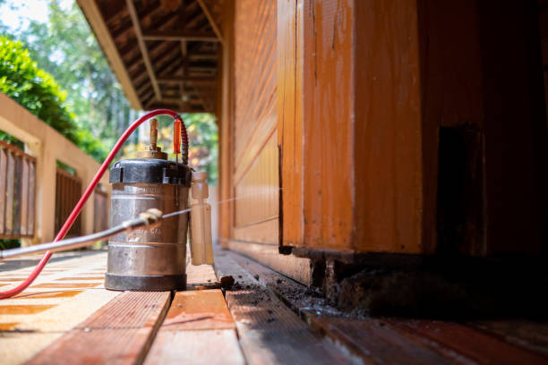 Best Pest Removal Services  in California, MD