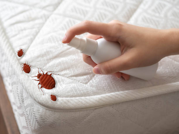Best Affordable Pest Control Services  in California, MD