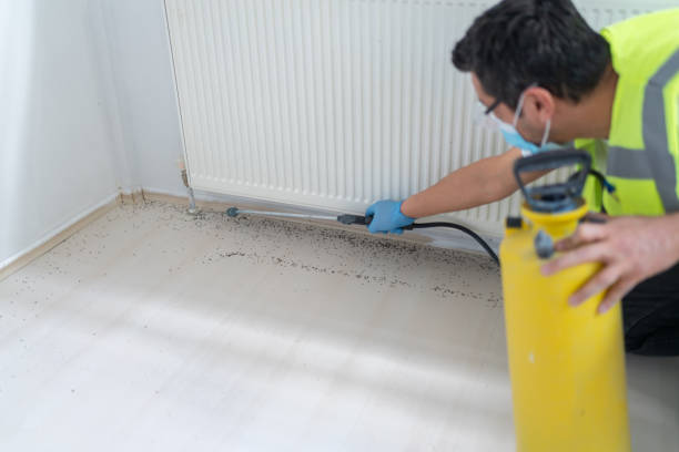 Trusted California, MD Pest Control Experts